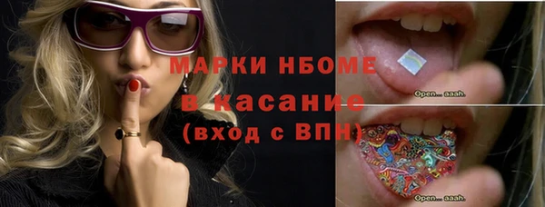 ГАЛЛЮЦИНОГЕННЫЕ ГРИБЫ Аркадак