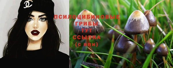 синтетический гашиш Арсеньев