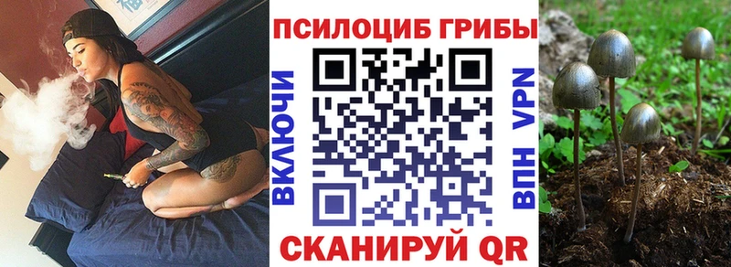 наркота  Усть-Катав  Псилоцибиновые грибы Psilocybine cubensis 